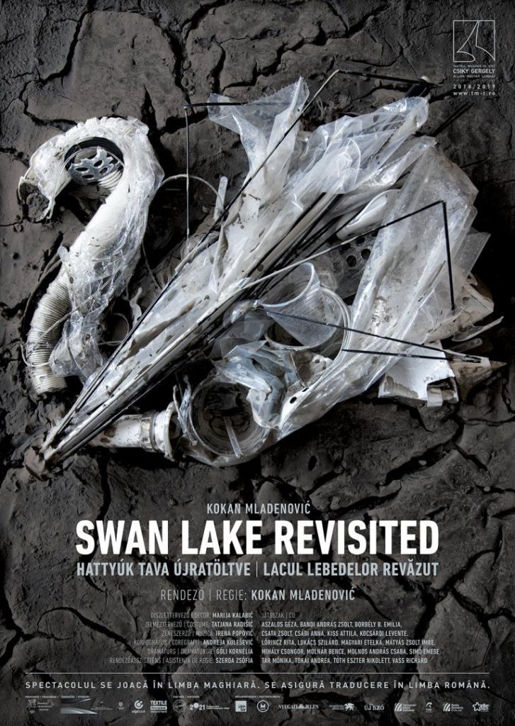 SWAN LAKE REWISITED plakát