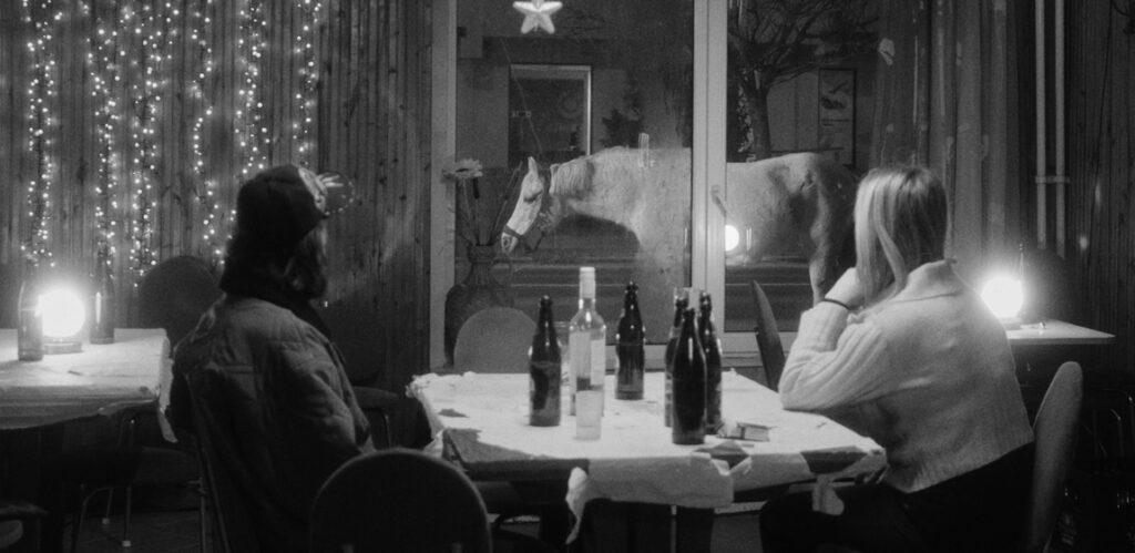 Olasz Renátó: Minden csillag